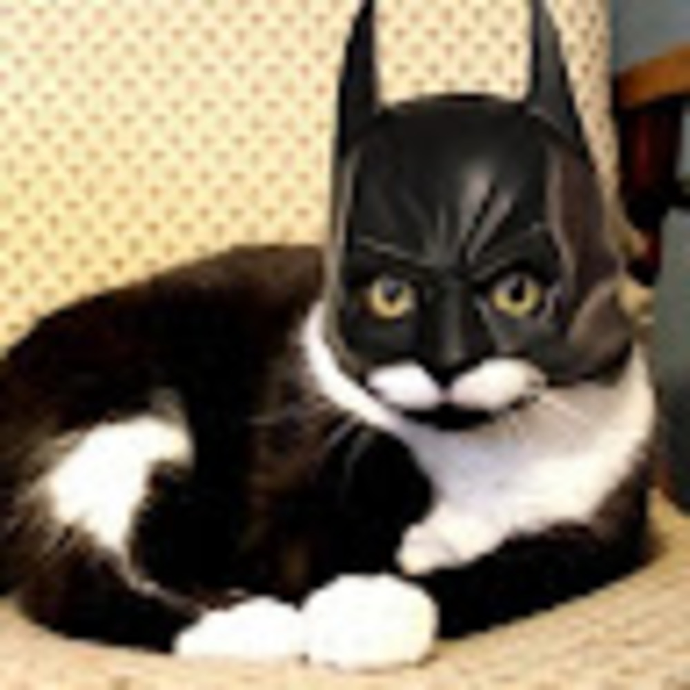 Meet your Posher, Catt